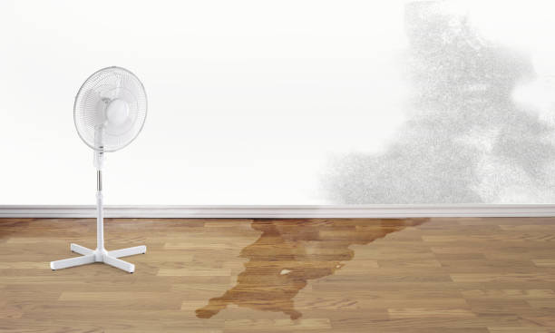 Best Commercial water damage restoration  in Bono, AR