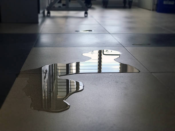 Best 24/7 water damage repair  in Bono, AR