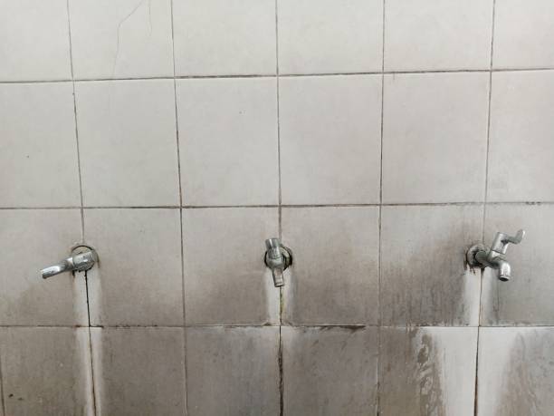 Reliable Bono, AR Water damage restoration Solutions