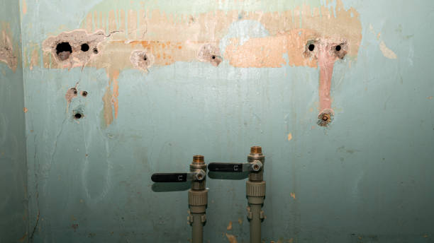 Best Sewage cleanup and water damage restoration  in Bono, AR