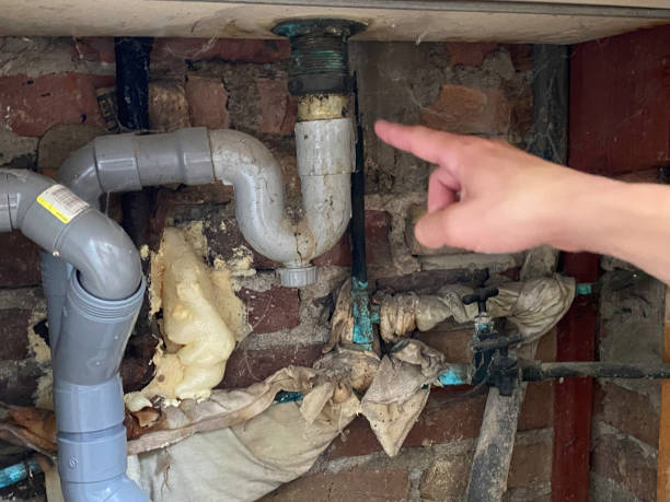 Best Flood restoration services  in Bono, AR