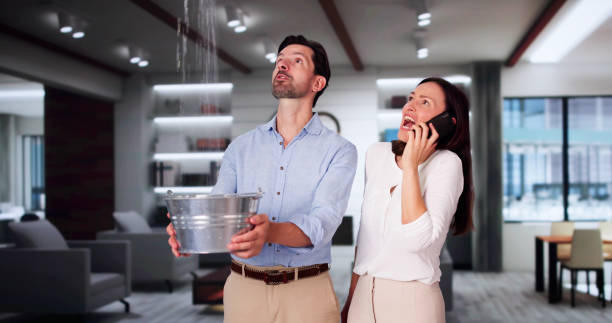 Best Water damage repair service  in Bono, AR
