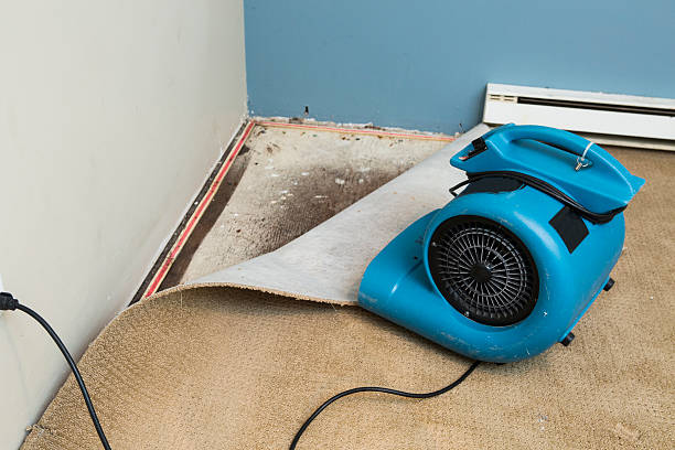 Best Water damage restoration services  in Bono, AR